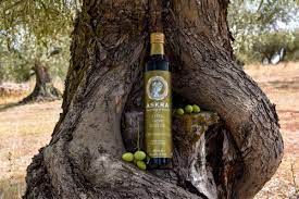 Askra the Valley of Muses